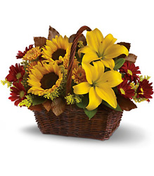 Golden Days Basket from Schultz Florists, flower delivery in Chicago